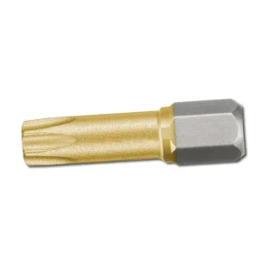Dřík T10x25mm TRX S2 TITAN Vysoce Kvalitní
